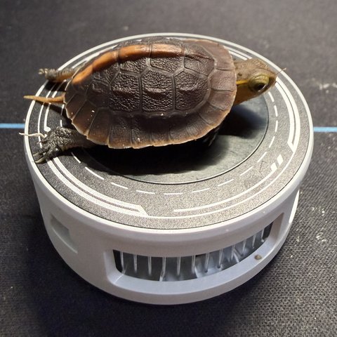 侧视