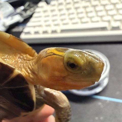 脸色